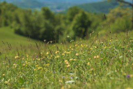 OTVORITEV POTI_VETRNIK_22.5.2021_HQ-13